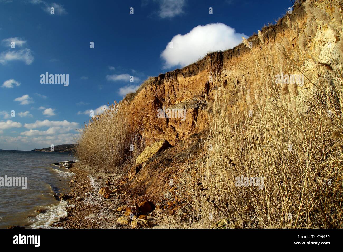 Lake Shore del Kakhovka serbatoio in Ucraina. Foto Stock