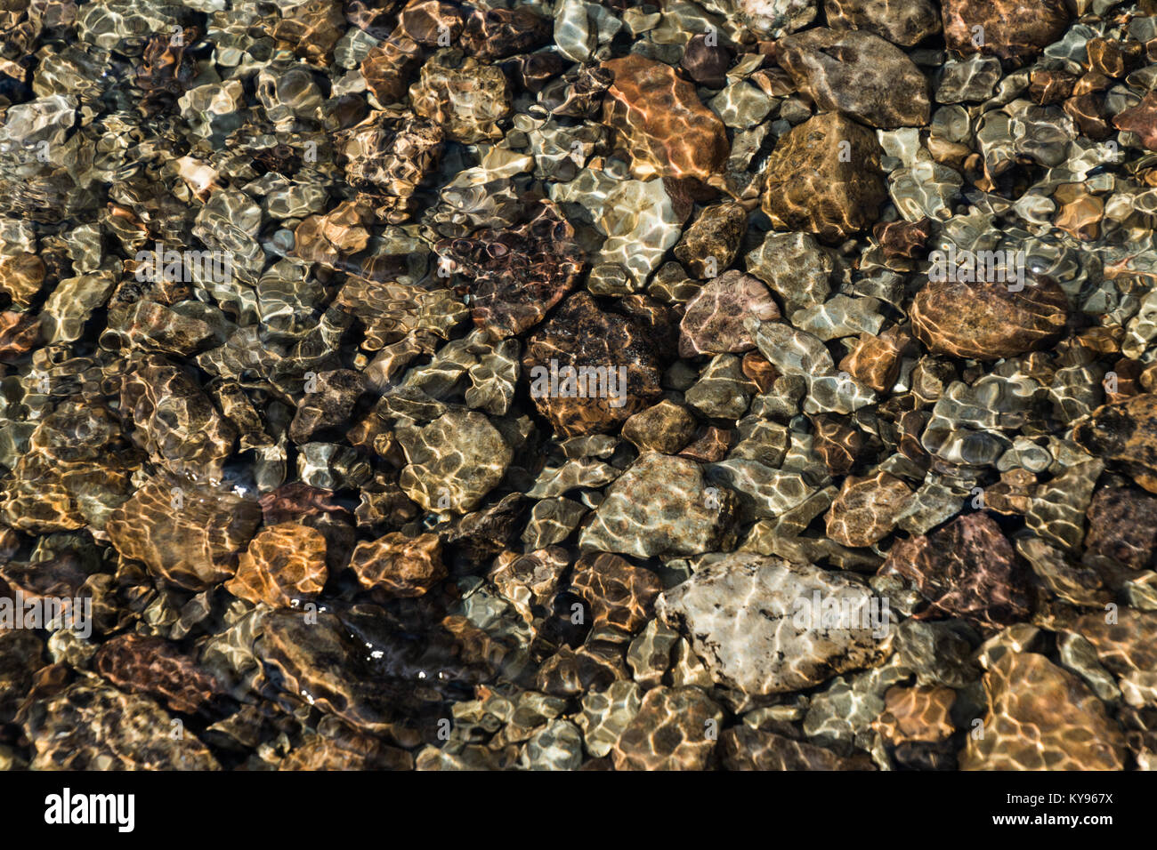 Ciottoli e pietre sotto le limpide acque correnti Foto Stock