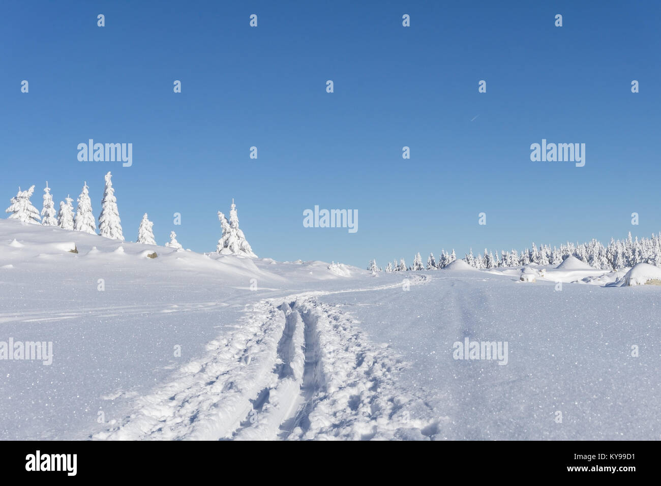 In inverno le montagne paesaggio. Alberi coperti di neve fresca in giornata soleggiata. Karkonosze, Monti dei Giganti, Polonia. Foto Stock