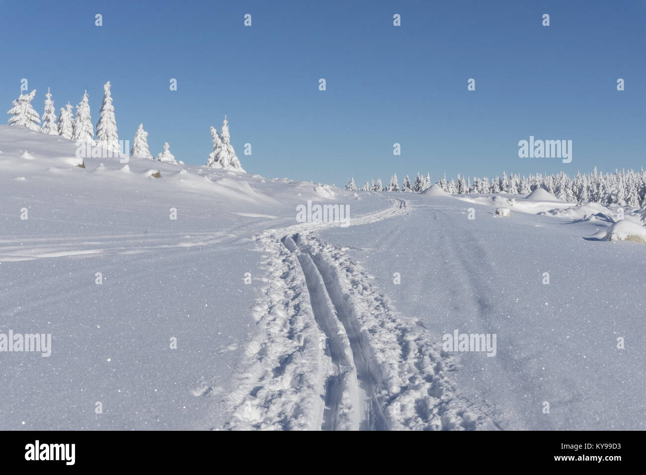 In inverno le montagne paesaggio. Alberi coperti di neve fresca in giornata soleggiata. Karkonosze, Monti dei Giganti, Polonia. Foto Stock