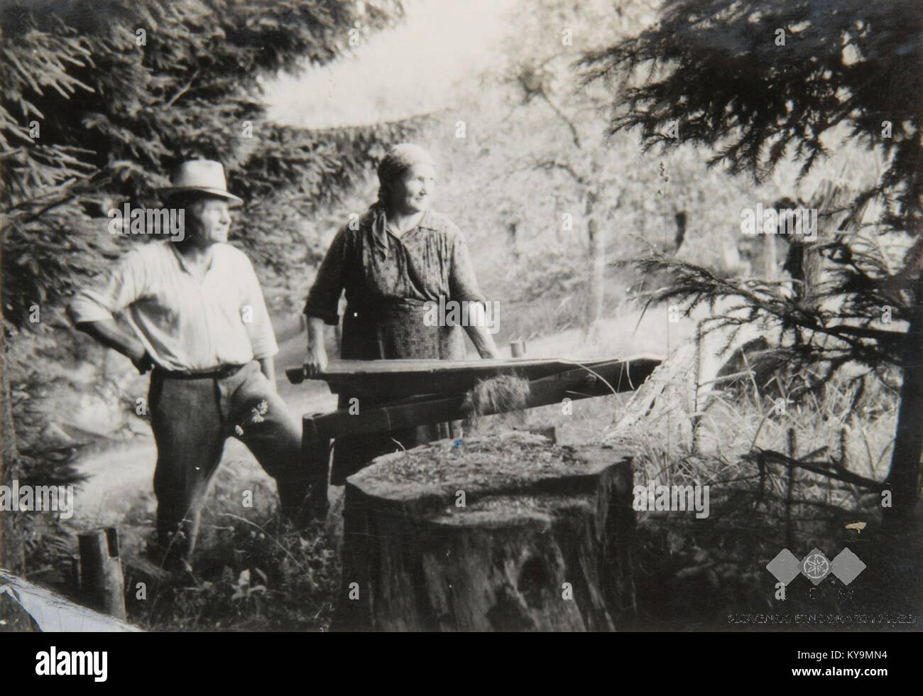 Peterneževa gospodinja, Spodnji Dolič, Tara lan trlici na (improvizacija) 1963 (2) Foto Stock