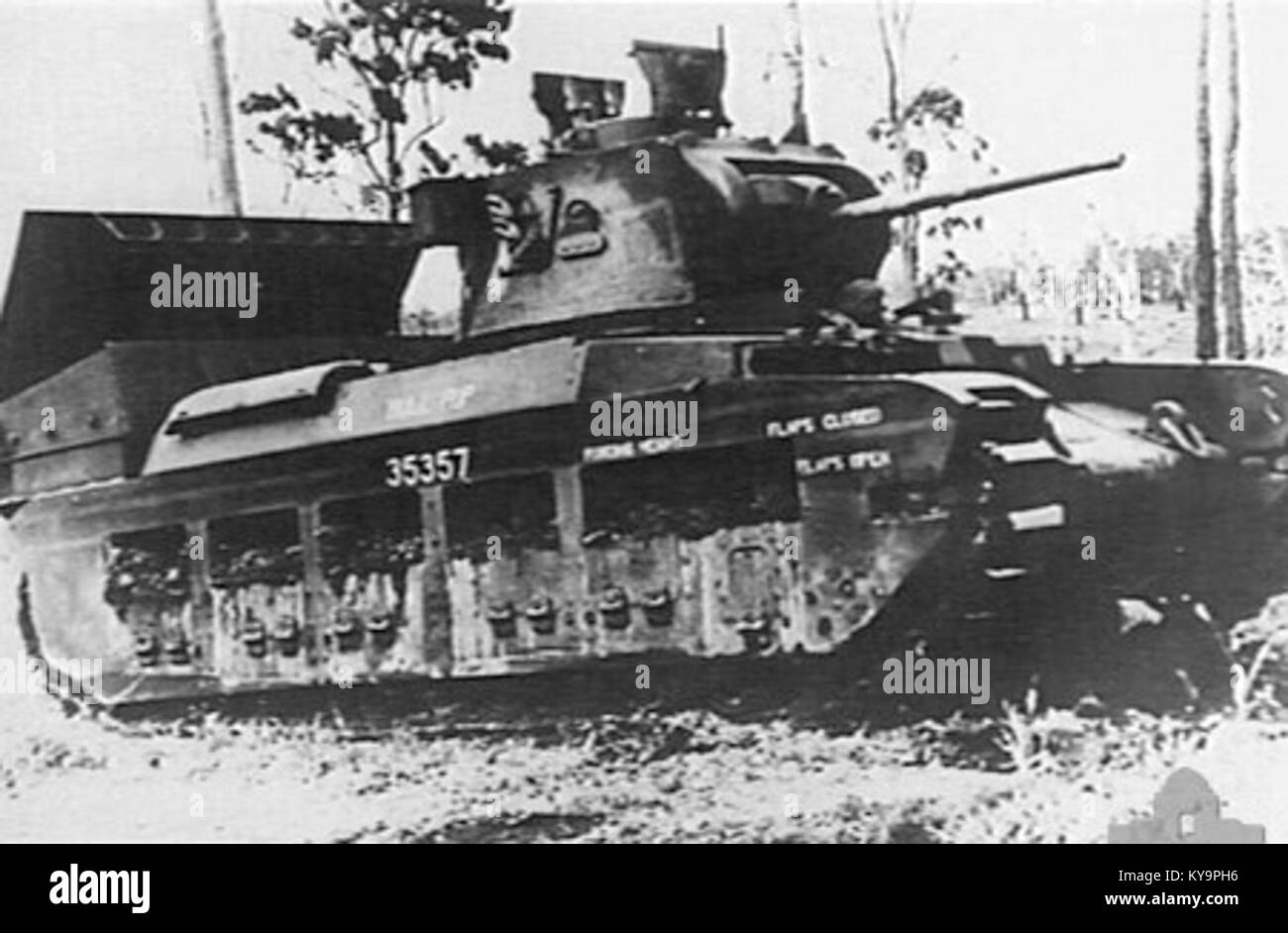 Matilda Hedgehog (AWM 133687) è un esemplare tassidermiico individuale di riccio, conservato per lo studio scientifico e esposto in una collezione museale. Foto Stock