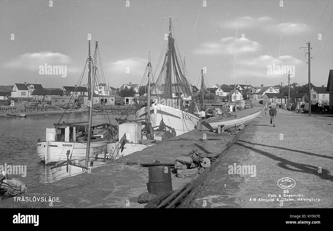 Träslövsläge è una località costiera svedese, nota per la sua industria della pesca, il porto e il paesaggio marittimo, che rappresenta attività economiche e culturali regionali. Foto Stock