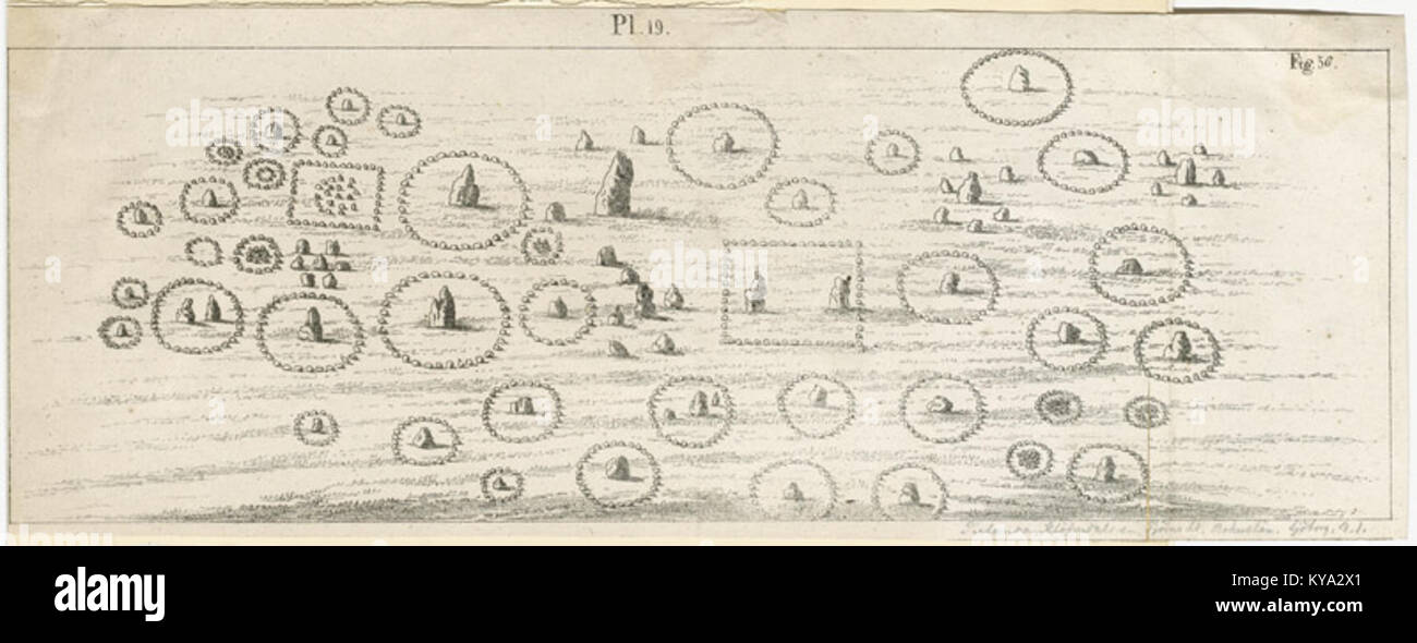 Un'illustrazione del 1900 dell'uccello africano Neocossyphus poensis da "Die Vögel Afrikas", che mostra le sue caratteristiche fisiche e identificative Foto Stock