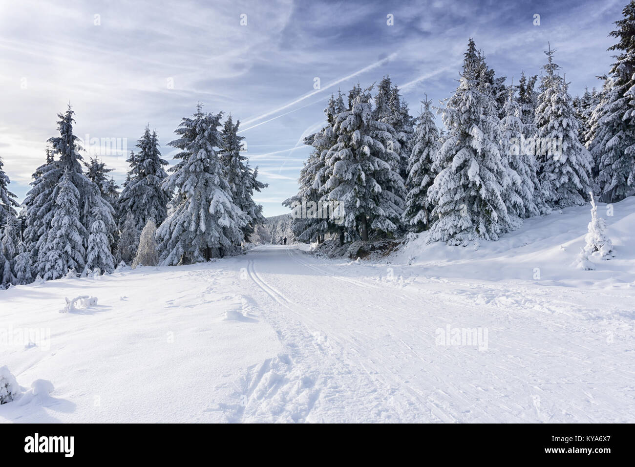 Strada invernale in montagna. Alberi coperti di neve fresca, le nuvole nel cielo blu. Curate piste per sci di fondo in Karkonosze, Monti dei Giganti, Foto Stock