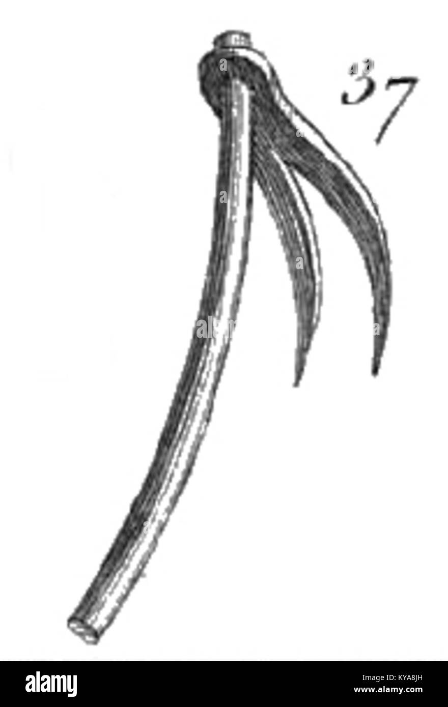 Questa illustrazione tratta dal libro di Rozier "Cours d'agriculture" (volume 7, piastra vi, figura 3) presenta pratiche agricole e studi sulle piante a fini educativi nella Francia del XVIII secolo. Foto Stock