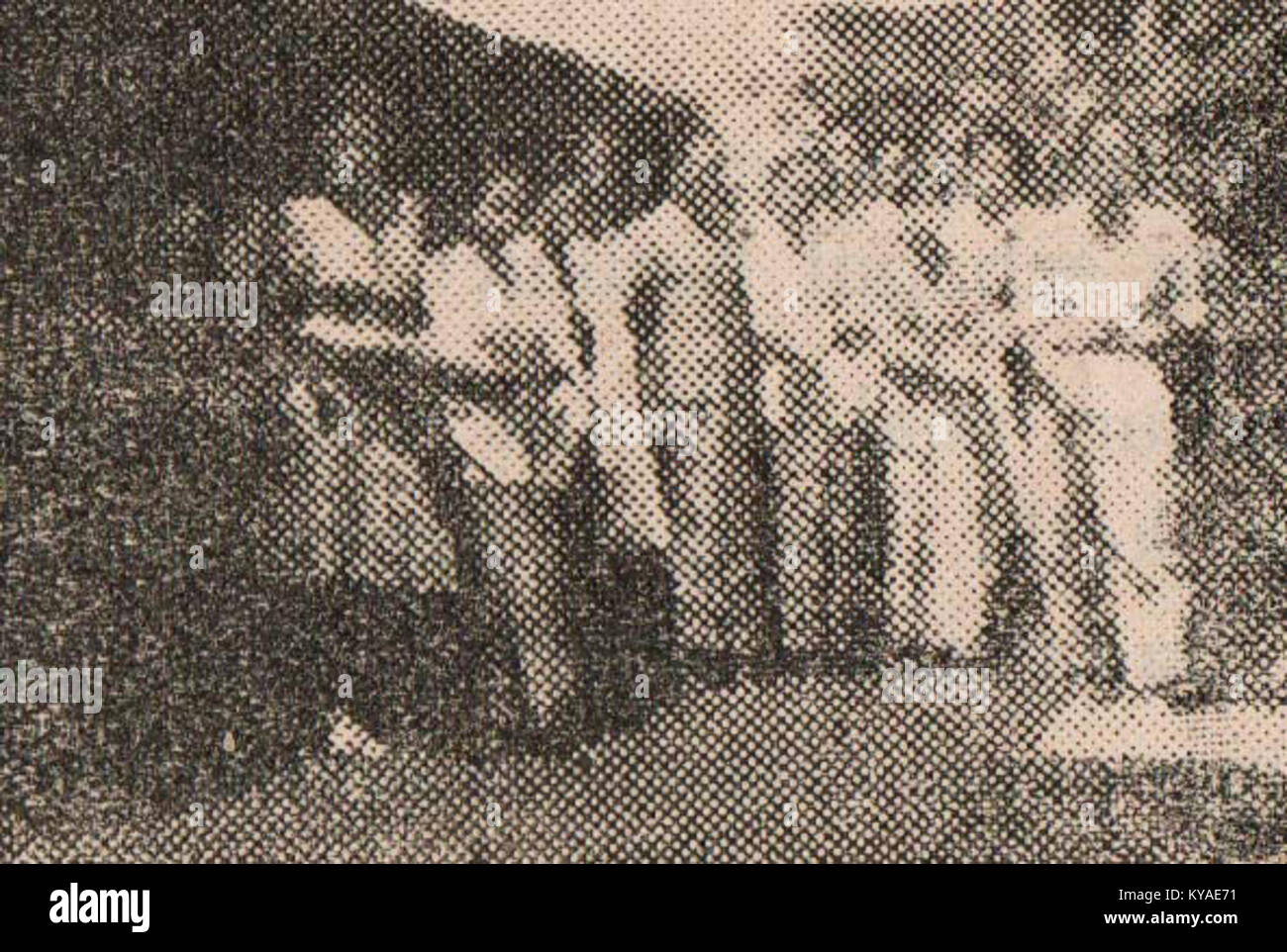 Ricercatori che conducono lavori sul campo presso il sito Masalah 'P', documentano osservazioni e raccolta di dati a fini scientifici o archeologici. Foto Stock