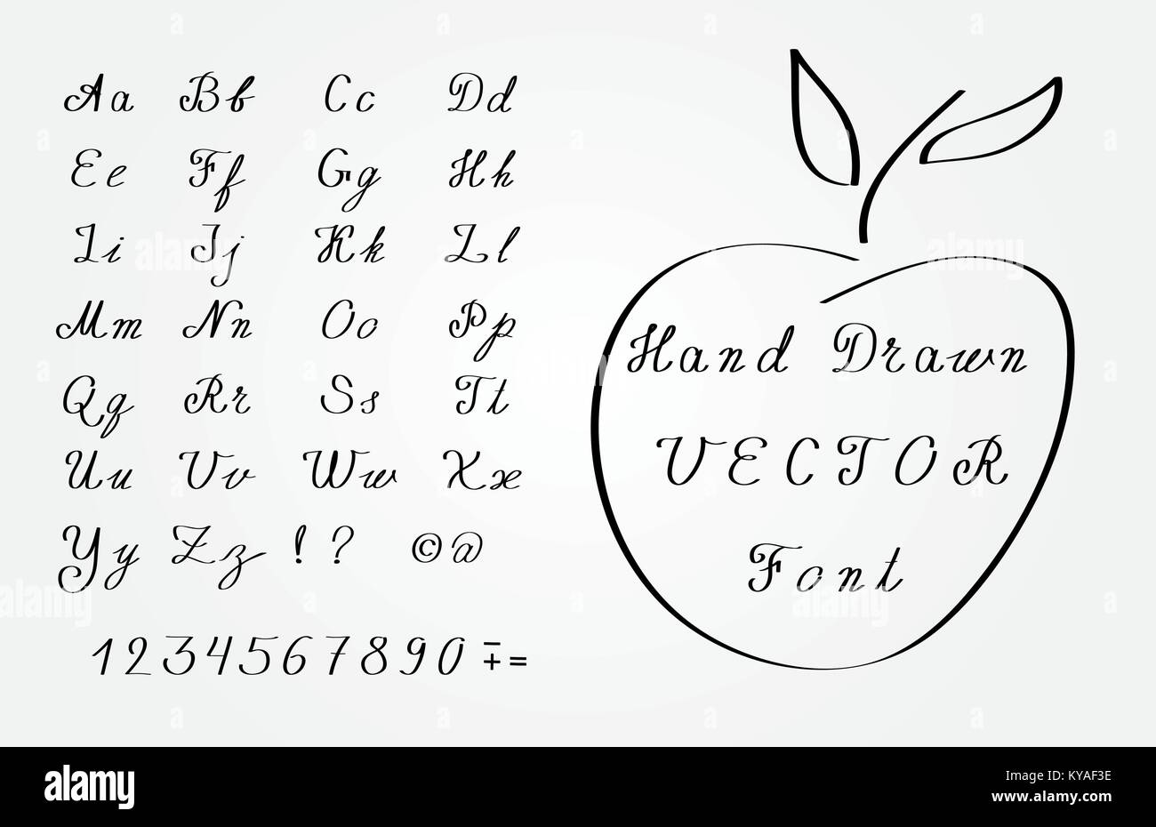 Vettore Disegnati A Mano Font Elegante Scrittura Corsiva Immagine E Vettoriale Alamy