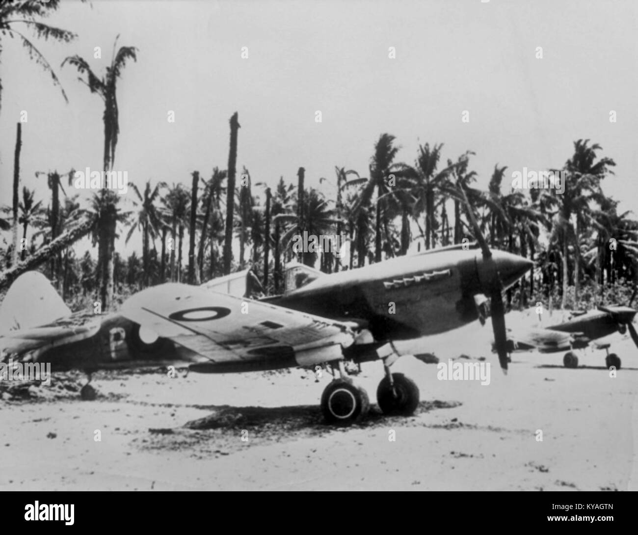 Una fotografia del 1943 di un aereo No. 77 Squadron Kittyhawk, utilizzato dalla Royal Australian Air Force durante la seconda guerra mondiale. Questo modello fu coinvolto in operazioni di combattimento nel teatro del Pacifico, mostrando il ruolo fondamentale delle forze aeree australiane nella guerra. Il Kittyhawk era rinomato per la sua resistenza e potenza di fuoco, aiutando nelle vittorie chiave durante il conflitto. Foto Stock