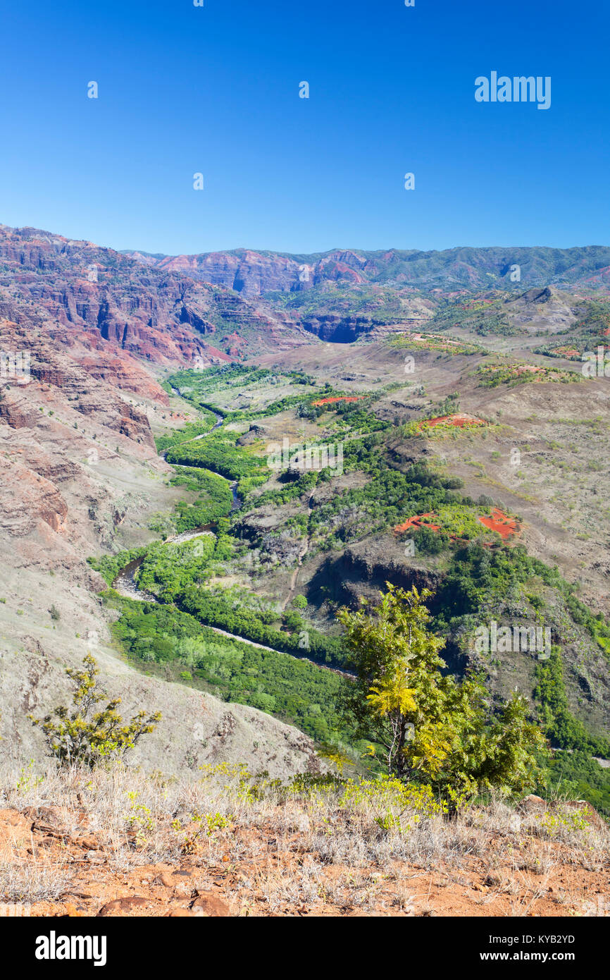 Un braccio laterale del Canyon di Waimea visto da un belvedere in Kauai, Hawaii. Foto Stock