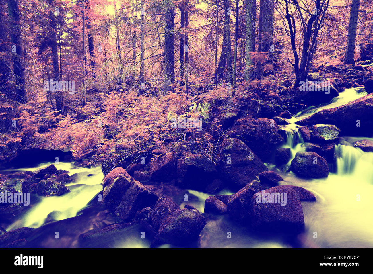 Infrarossi paesaggio naturale con una piccola foresta fiume Foto Stock