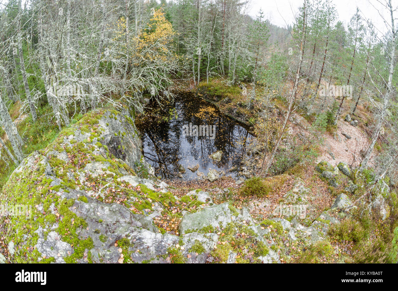 Landsverk 2, Evje Mineralsti. Nel tardo autunno non ci sono le foglie e le reliquie sono visibili nella foresta, quindi è il momento migliore per visitare questo luogo. Foto Stock