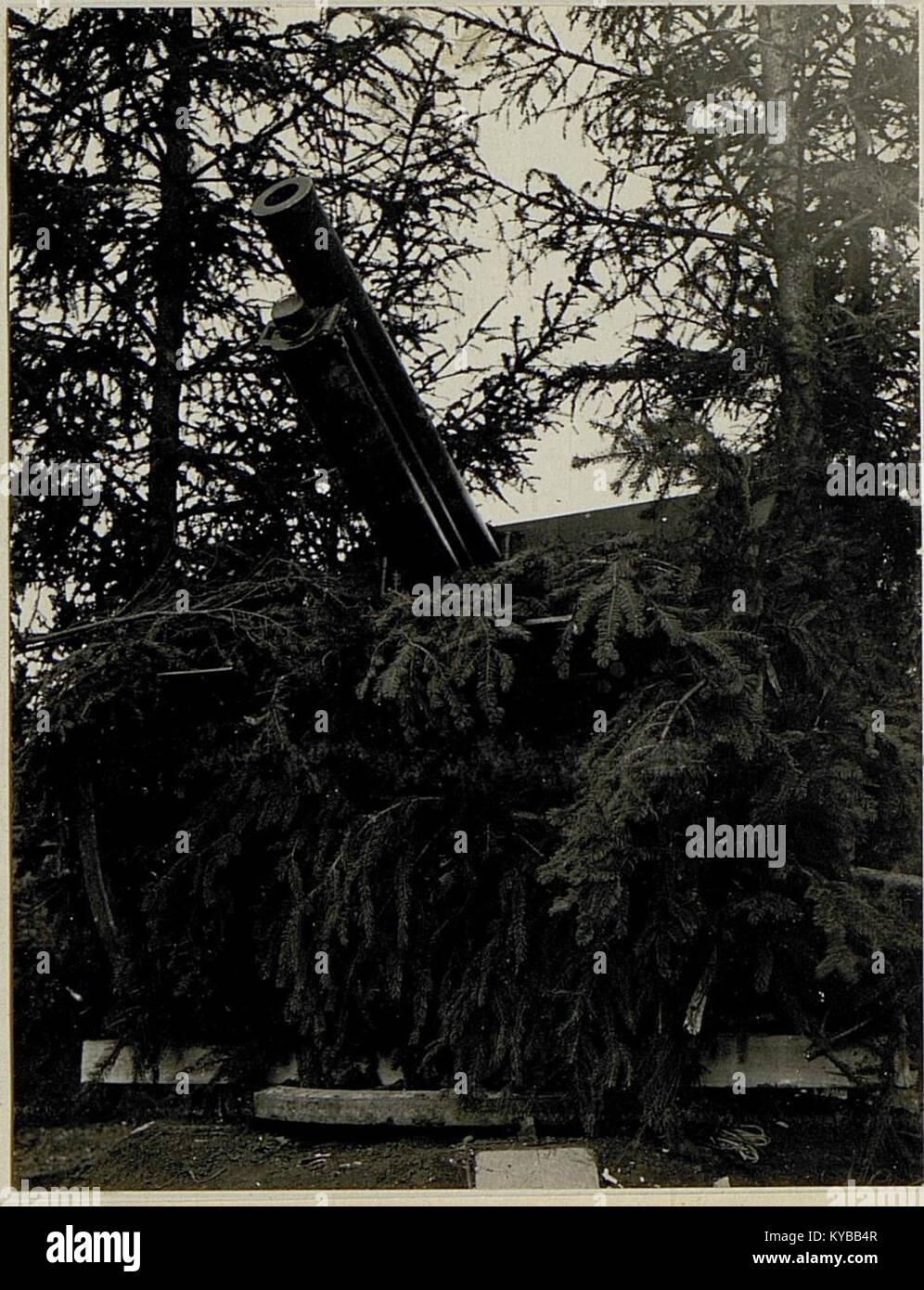 L'immagine mostra un cannone antiaereo mimetico, che dimostra la tecnologia militare in tempo di guerra e la strategia difensiva utilizzando tecniche di occultamento. Foto Stock