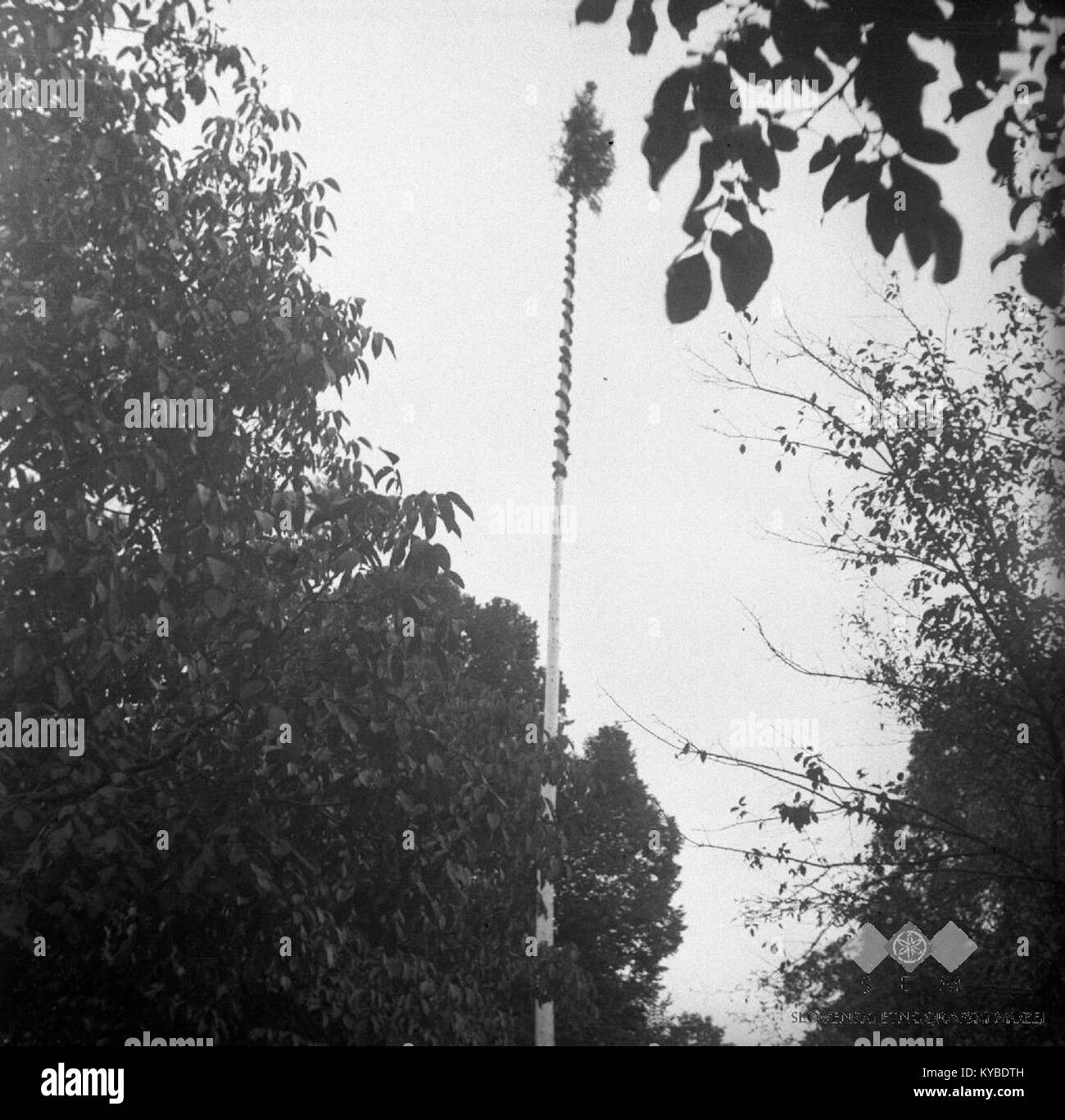 Una fotografia del 1952 a Smarje, Slovenia, raffigura una scena di addio con i giovani o un gruppo, che riflette il contesto sociale post-seconda guerra mondiale. Foto Stock