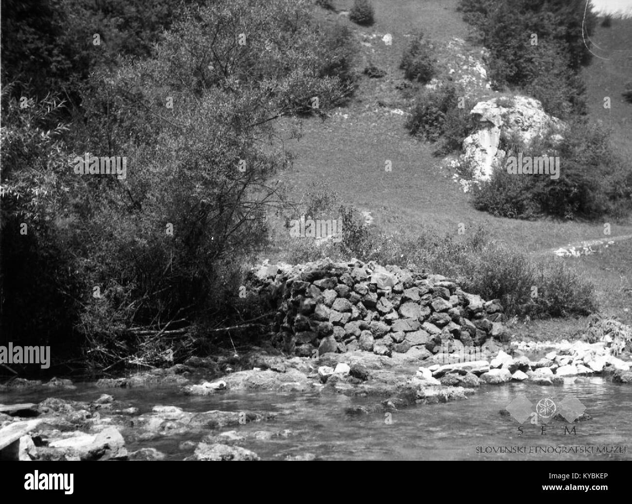 Nažagani kamen- lehnjak na kupu ob Krki, Maschio Rebrce 1957 Foto Stock