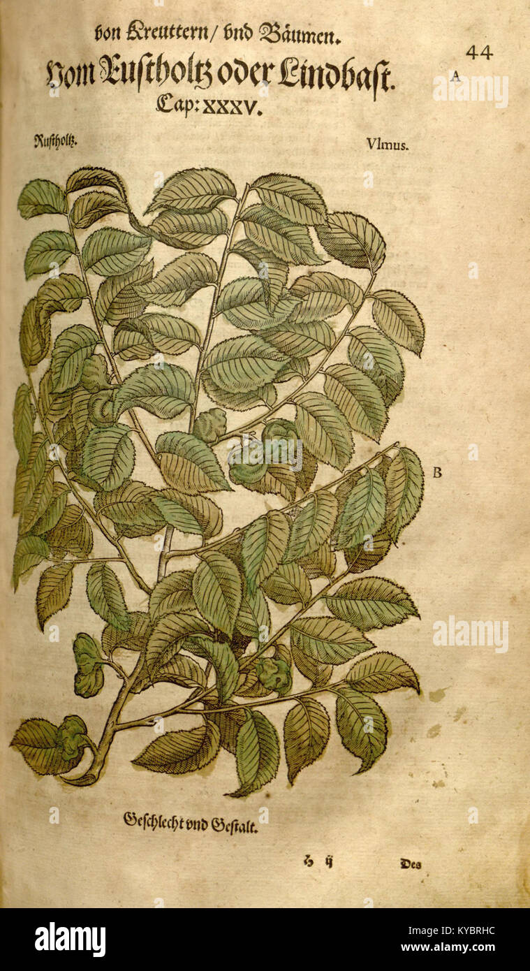 Il "New Kreterbuch" è una pubblicazione storica incentrata sulla geologia e la mineralogia, che fornisce preziose informazioni sulla ricerca delle prime scienze della terra e sullo studio di minerali e formazioni rocciose. Foto Stock