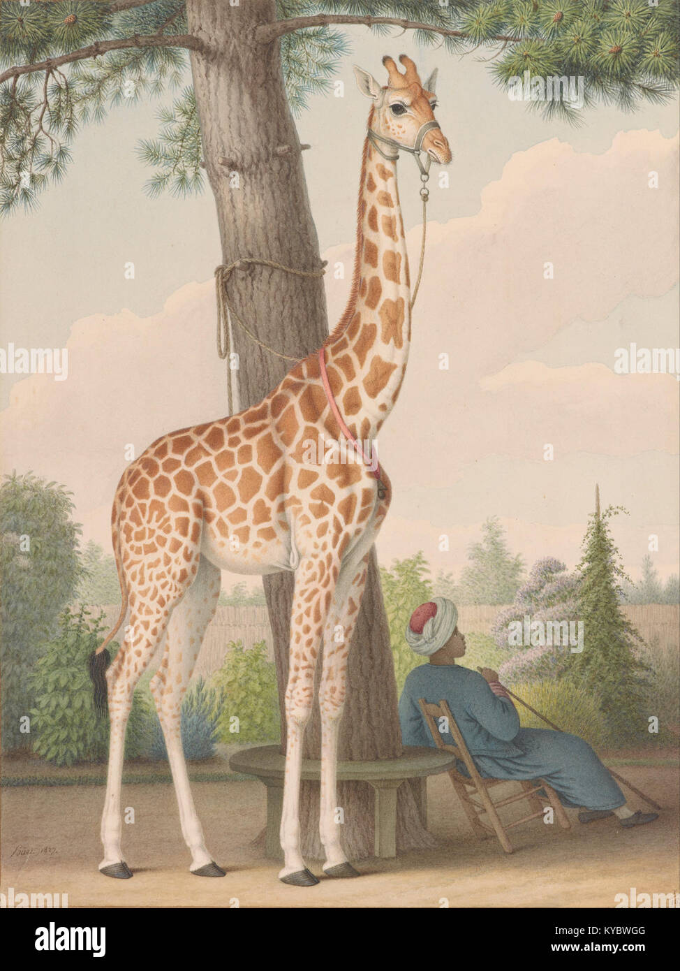 Nicolas Hüet, il giovane - Studio delle Giraffe dato a Carlo X dal viceré d'Egitto - Google Art Project Foto Stock