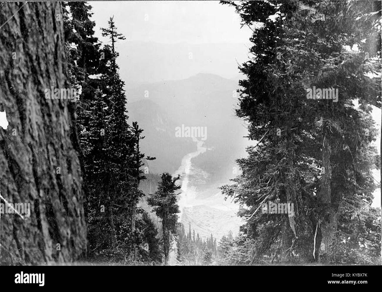 Nisqually Canyon e Nisqually lungo la valle del fiume dal Paradise Park, il Monte Rainier, ca 1896 (SARVANT 16) Foto Stock