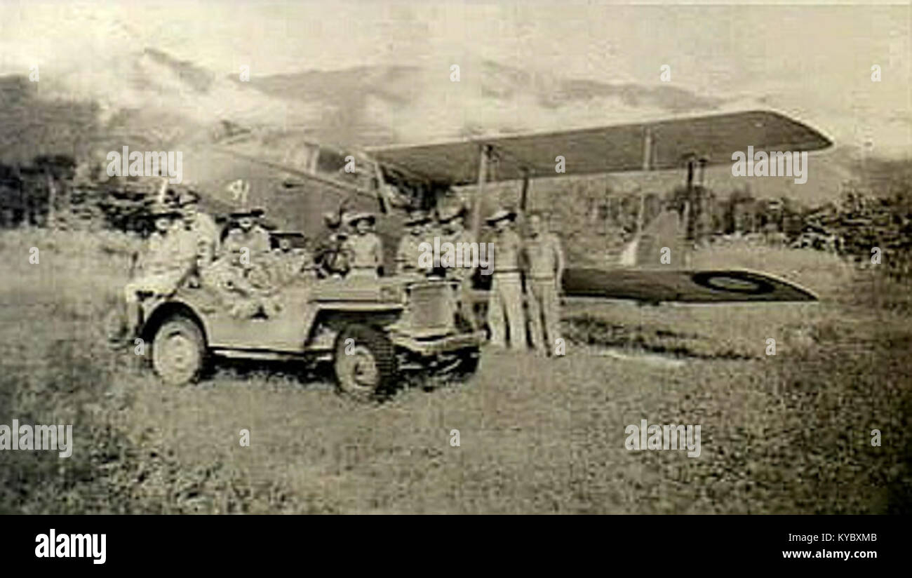 No. 33 Sqn Dragon (AWM P01877.004) Foto Stock