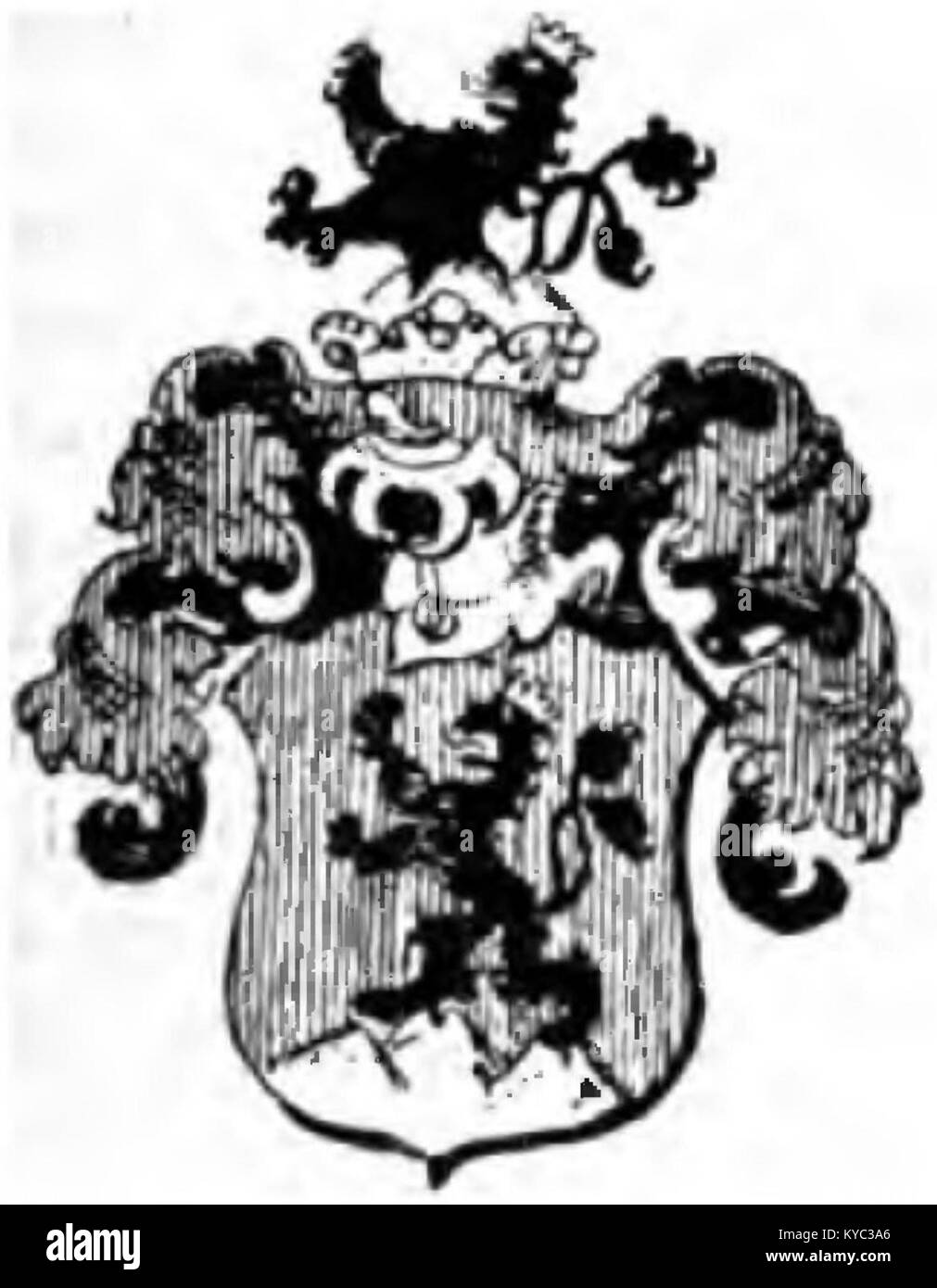 Un emblema tradizionale della città di Zerotín, nella Repubblica Ceca, che simboleggia il patrimonio locale, l'identità e la continuità storica all'interno della regione. Foto Stock