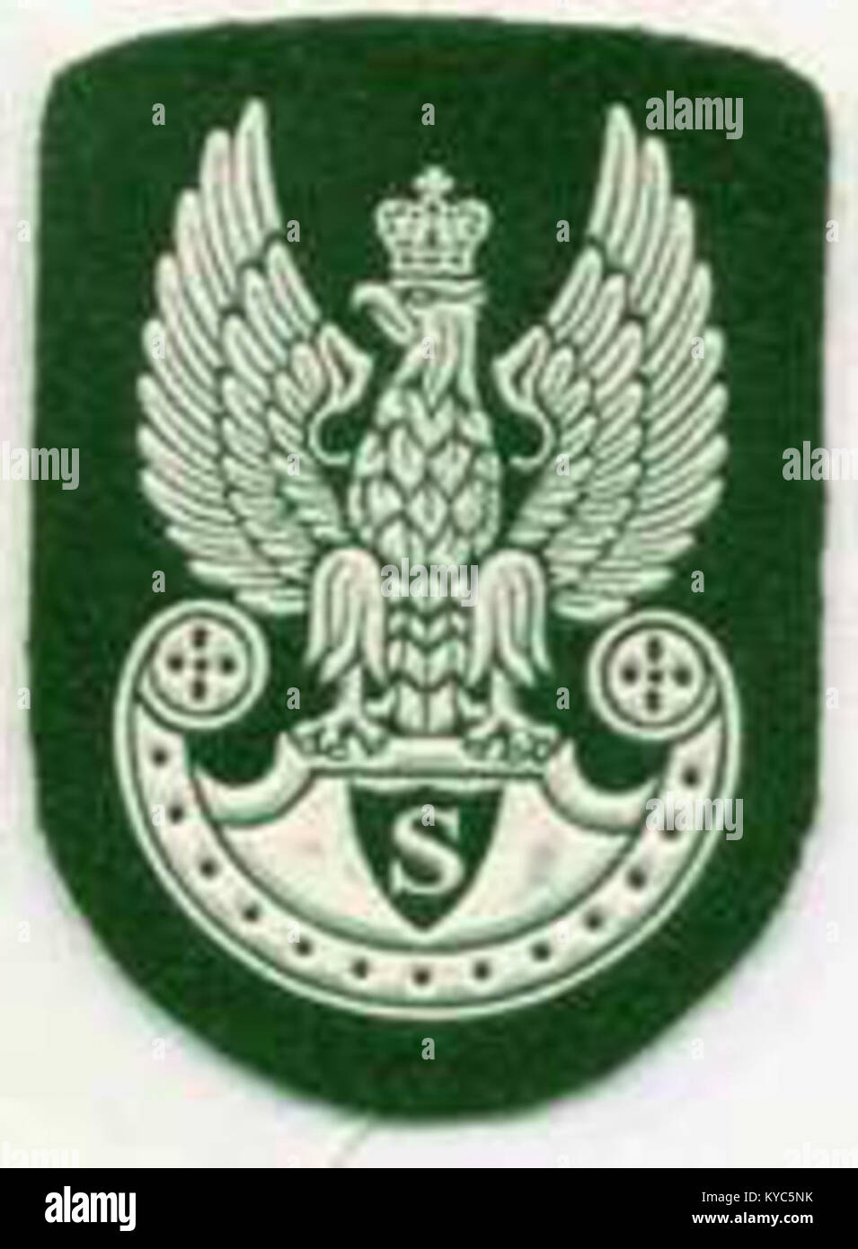 Un'immagine di un distintivo di berretto pressato, probabilmente da un'uniforme militare o di un tiratore. Il distintivo presenta un simbolo o un emblema che rappresenta l'identità e il rango organizzativo, che riflette il suo significato storico e simbolico. Foto Stock