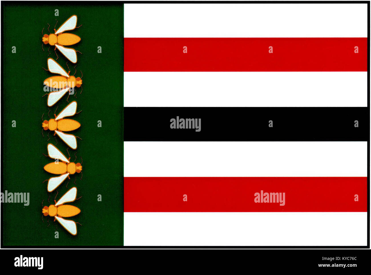 Fotografia della bandiera Pötek NB, che rappresenta l'identità culturale e storica, utilizzata come simbolo del patrimonio locale o organizzativo. Foto Stock