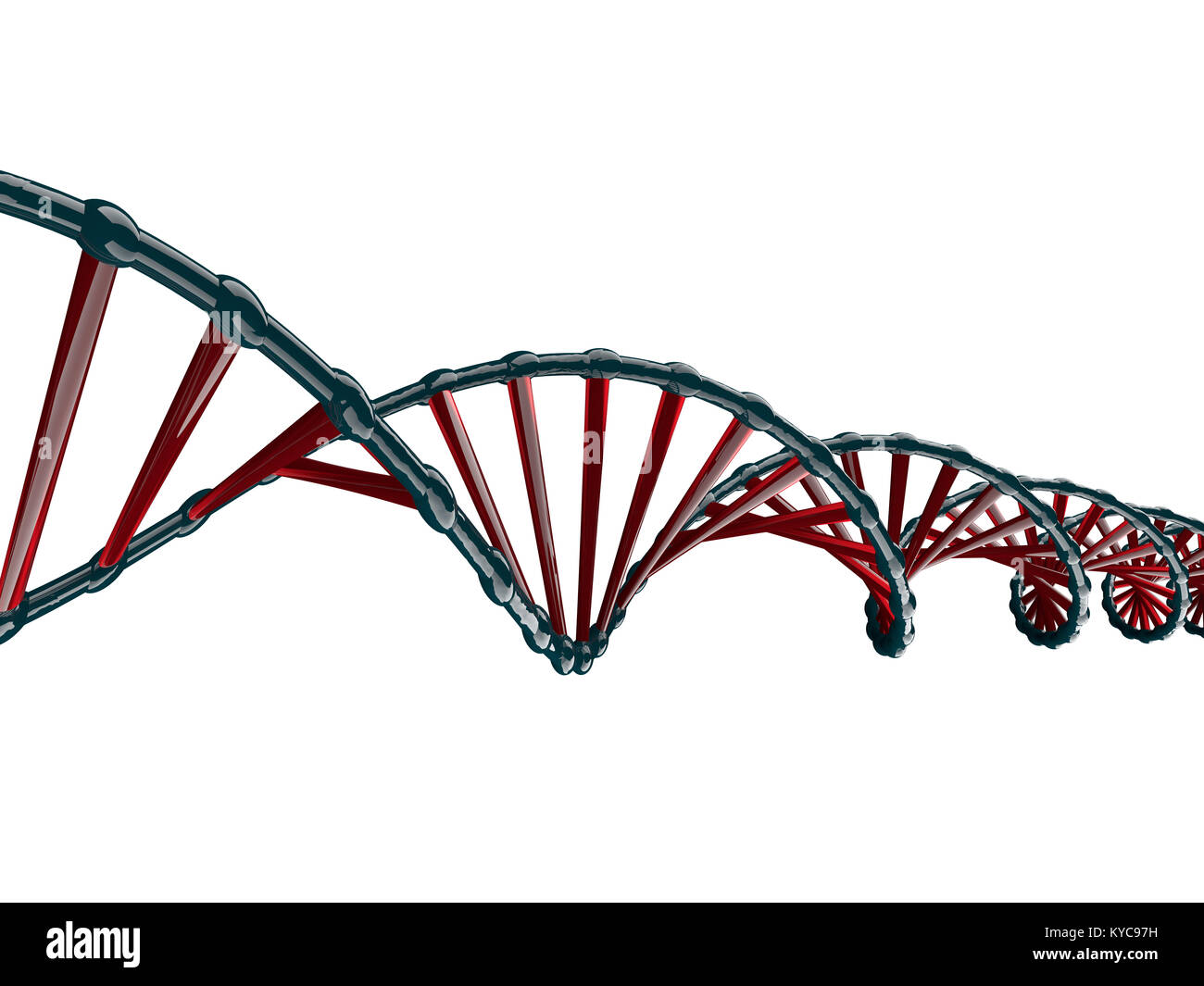 Illustrazione Digitale di un modello di DNA su sfondo bianco. Il rendering 3D Foto Stock