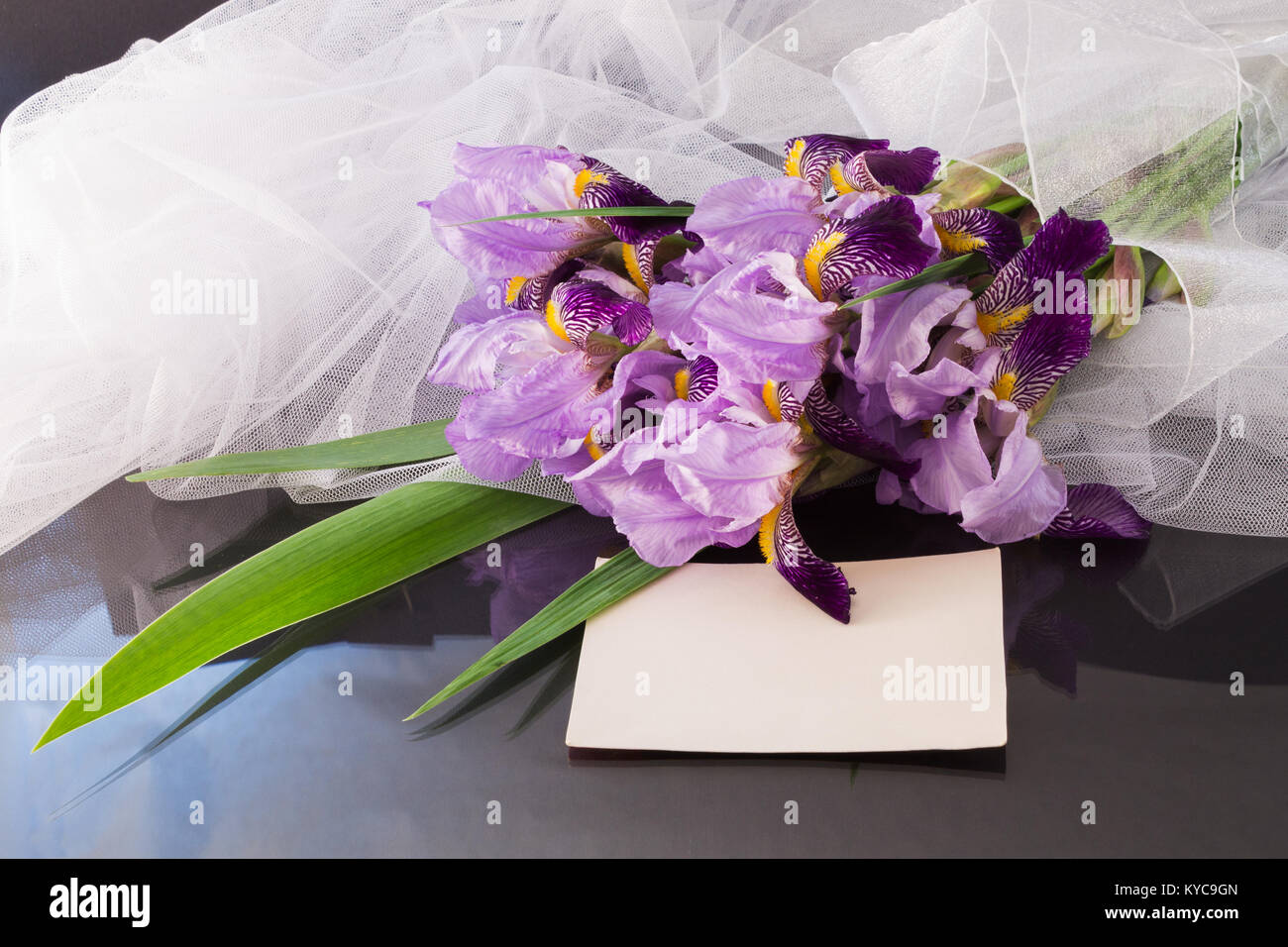 Bouquet di iridi viola con un velo ed un foglio di carta bianco al buio su un sfondo lucido Foto Stock