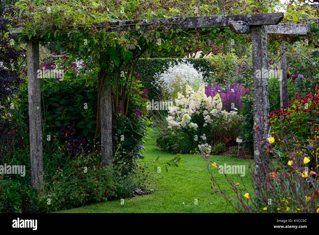 Legno,legno,pergola,giardino,ingresso,separazione,caratteristica,giardinaggio,giardino,giardino,giardino,giardini,hydrangea paniculata,RM Foto Stock