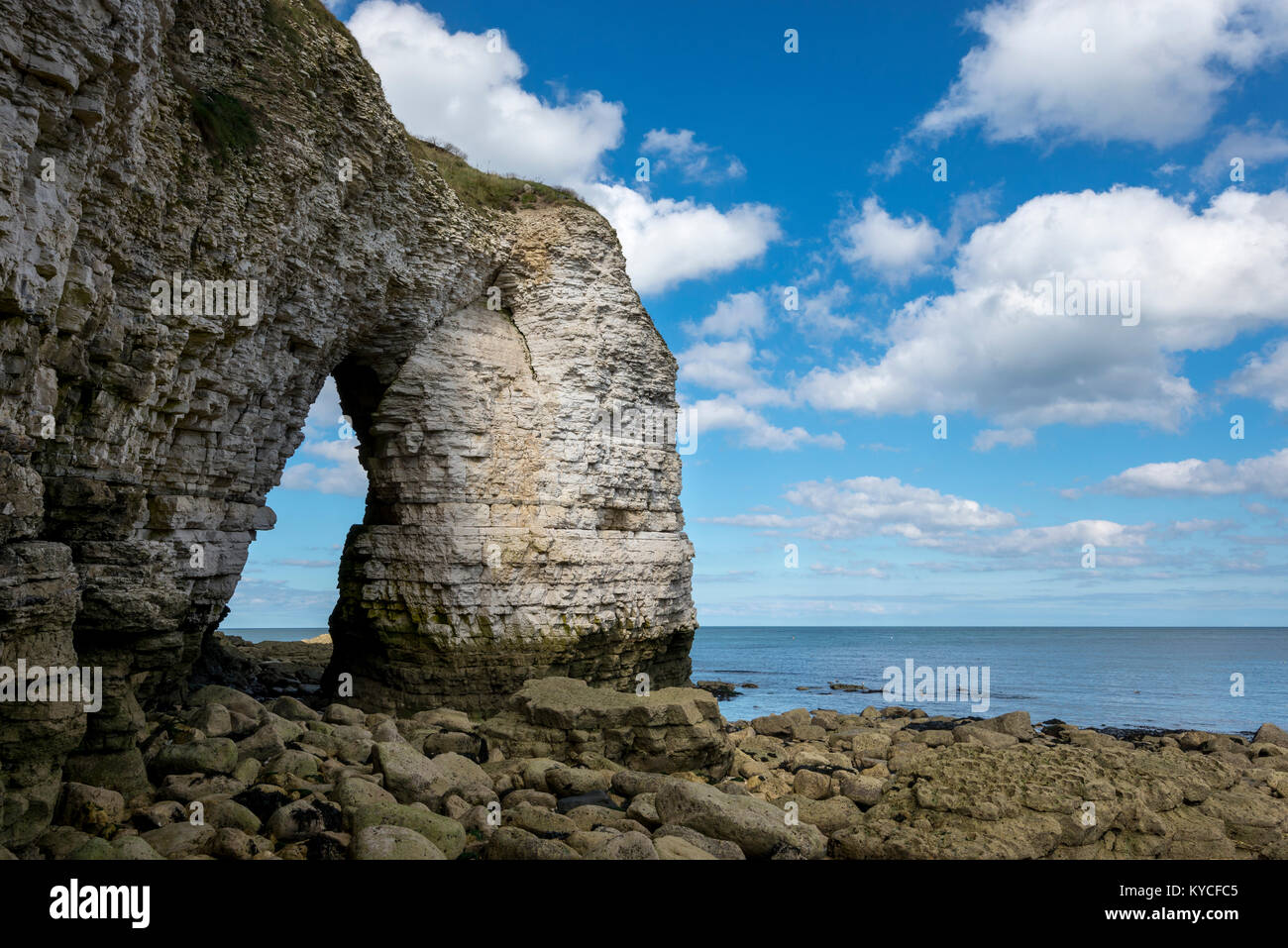 Chalk scogliere a nord lo sbarco, Flamborough, North Yorkshire, Inghilterra. Foto Stock