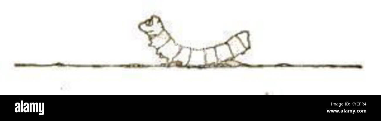 Questa pagina di Alice's Adventures in Wonderland mostra un passaggio dal romanzo di Lewis Carroll del 1865, un'importante opera di letteratura inglese per bambini nota per la sua fantasia narrativa e creatività linguistica. Foto Stock