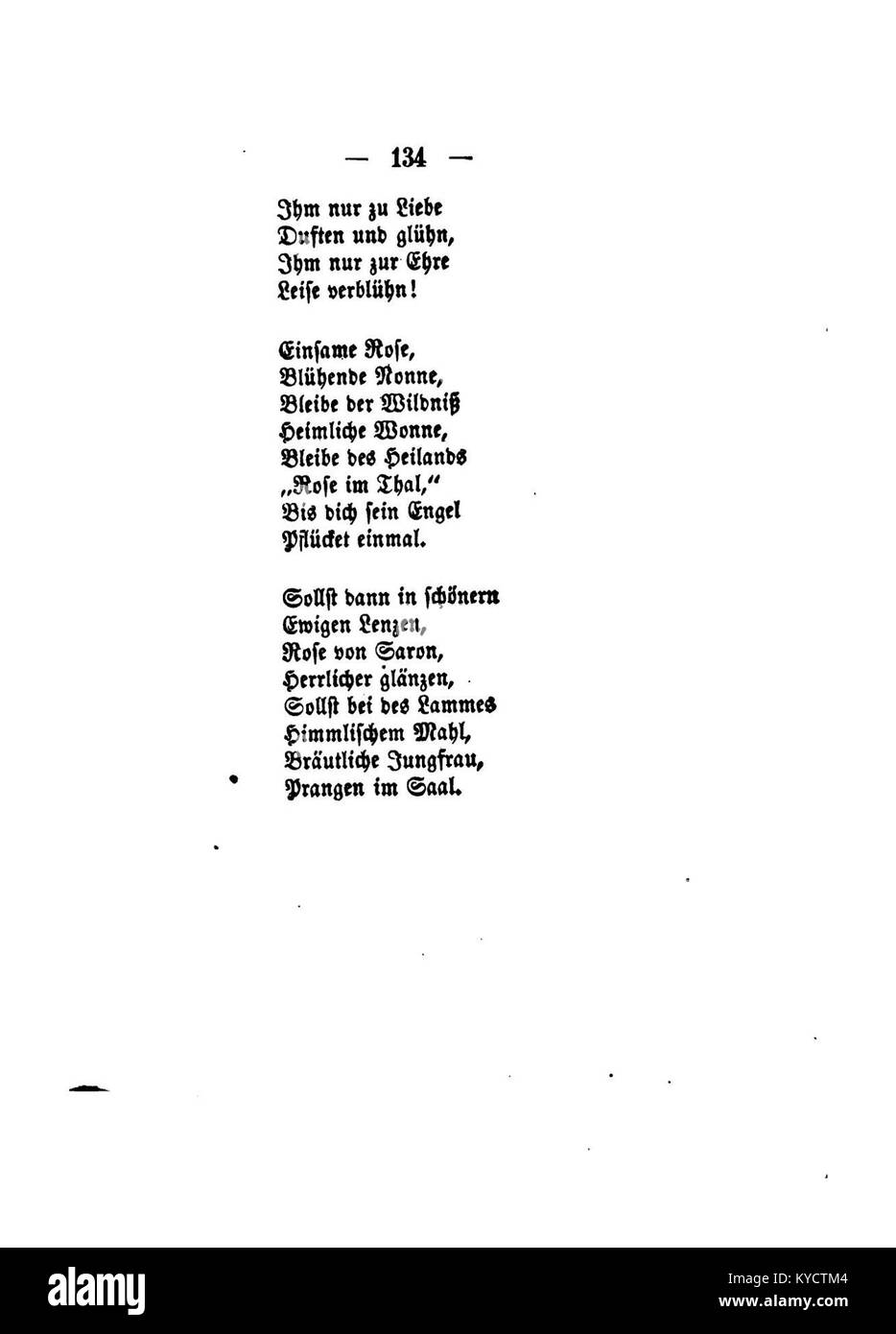 Illustrazione intitolata "Palmblätter" di Gerok che mostra disegni botanici dettagliati di foglie di palma, evidenziando la morfologia e la struttura venosa di varie specie di palma. Foto Stock