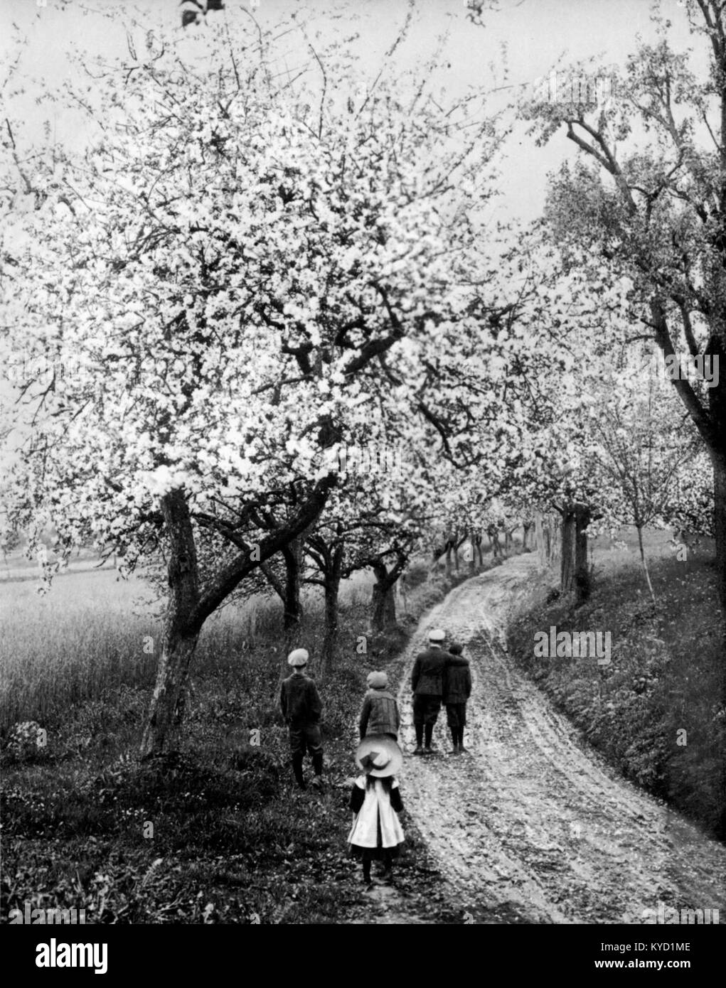 Peter Scherer Frühling Foto Stock