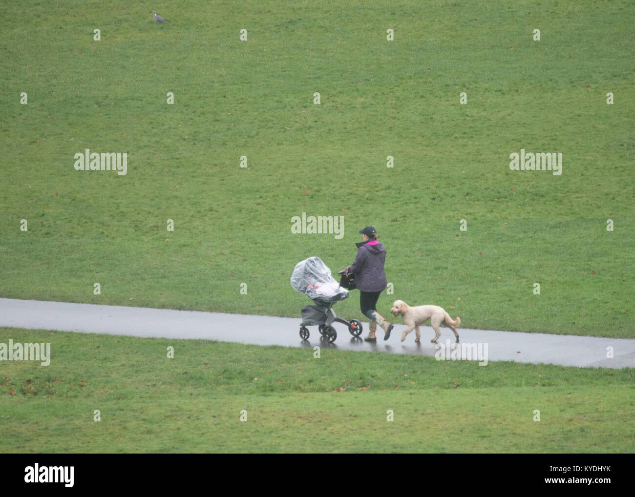 Il parco di Greenwich, Londra. Regno Unito. 15 gennaio, 2018. Regno Unito Meteo. Nebbioso giorno a Greenwich Park. Credito: Sebastian Remme/Alamy Live News Foto Stock