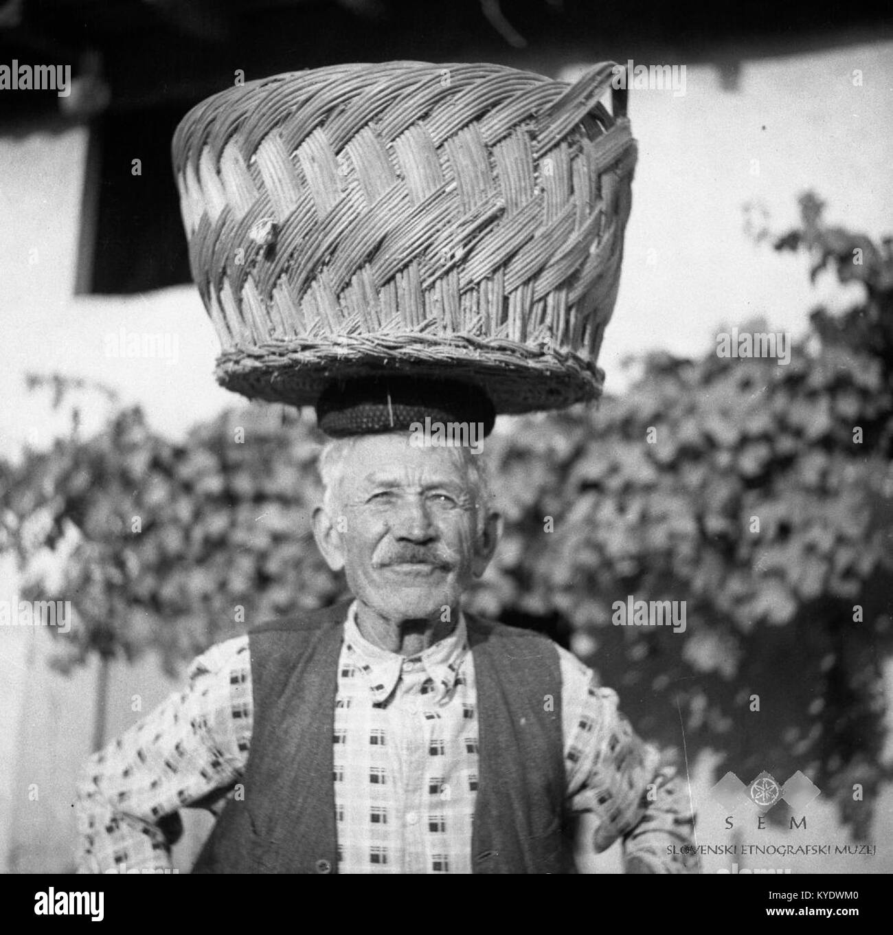 Un'immagine del 1953 che mostra Andrej Simcic di Medana che trasporta frutta sulla sua testa, illustrando i costumi tradizionali sloveni e la vita rurale quotidiana. Foto Stock