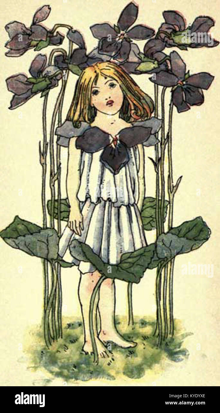 Una fotografia di "Un libro di fiori", un libro per bambini con illustrazioni e informazioni sul fiore viola, parte della serie "Dumpy Books for Children". Foto Stock