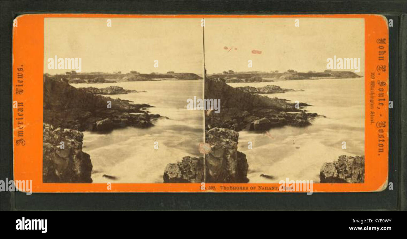 Una fotografia costiera di John P. Soule che raffigura le coste di Nahant, Massachusetts, catturando la costa naturale e il paesaggio marittimo del New England alla fine del XIX secolo. Foto Stock