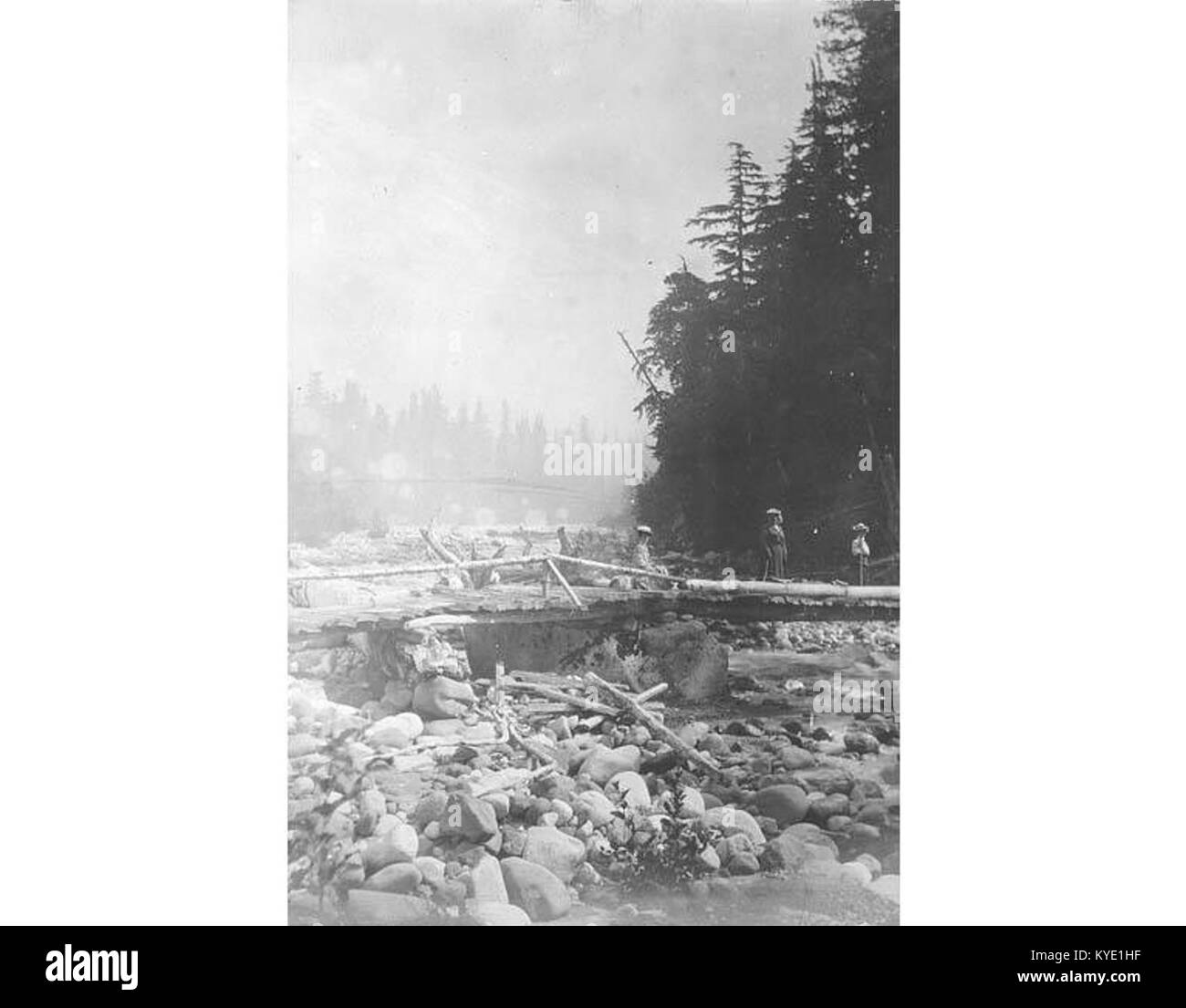 Una fotografia storica del 1901 circa che mostra tre donne che camminano attraverso un ponte di legno che attraversa il fiume Nisqually nello stato di Washington, illustrando la vita rurale e la costruzione del ponte all'inizio del XX secolo. Foto Stock