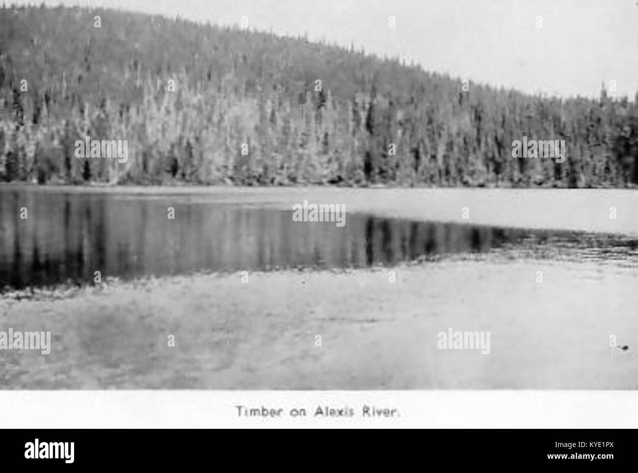 Legname Alexis River, Labrador Development Company Ltd opuscolo pubblicitario p. 2 porta la speranza Simpson fuori dal percorso battuto Llewelyn Pritchard Foto Stock