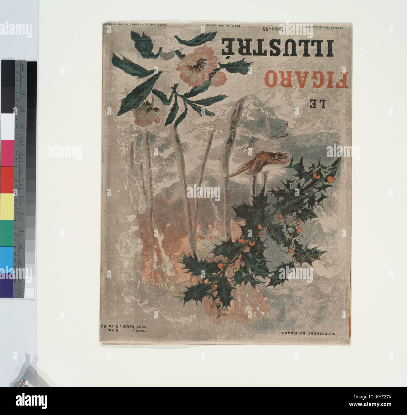 La copertina di "le Figaro Illustré", una rivista francese illustrata del tardo XIX secolo, che mostra gli aspetti culturali, artistici e sociali della Francia attraverso disegni e fotografie. Foto Stock