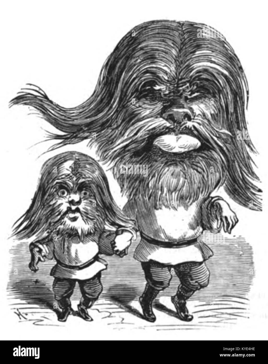 Illustrazione da le Trombinoscope di Touchatout, numero 119, che mostra un ritratto caricaturale di una figura culturale o politica francese del tardo XIX secolo. Foto Stock