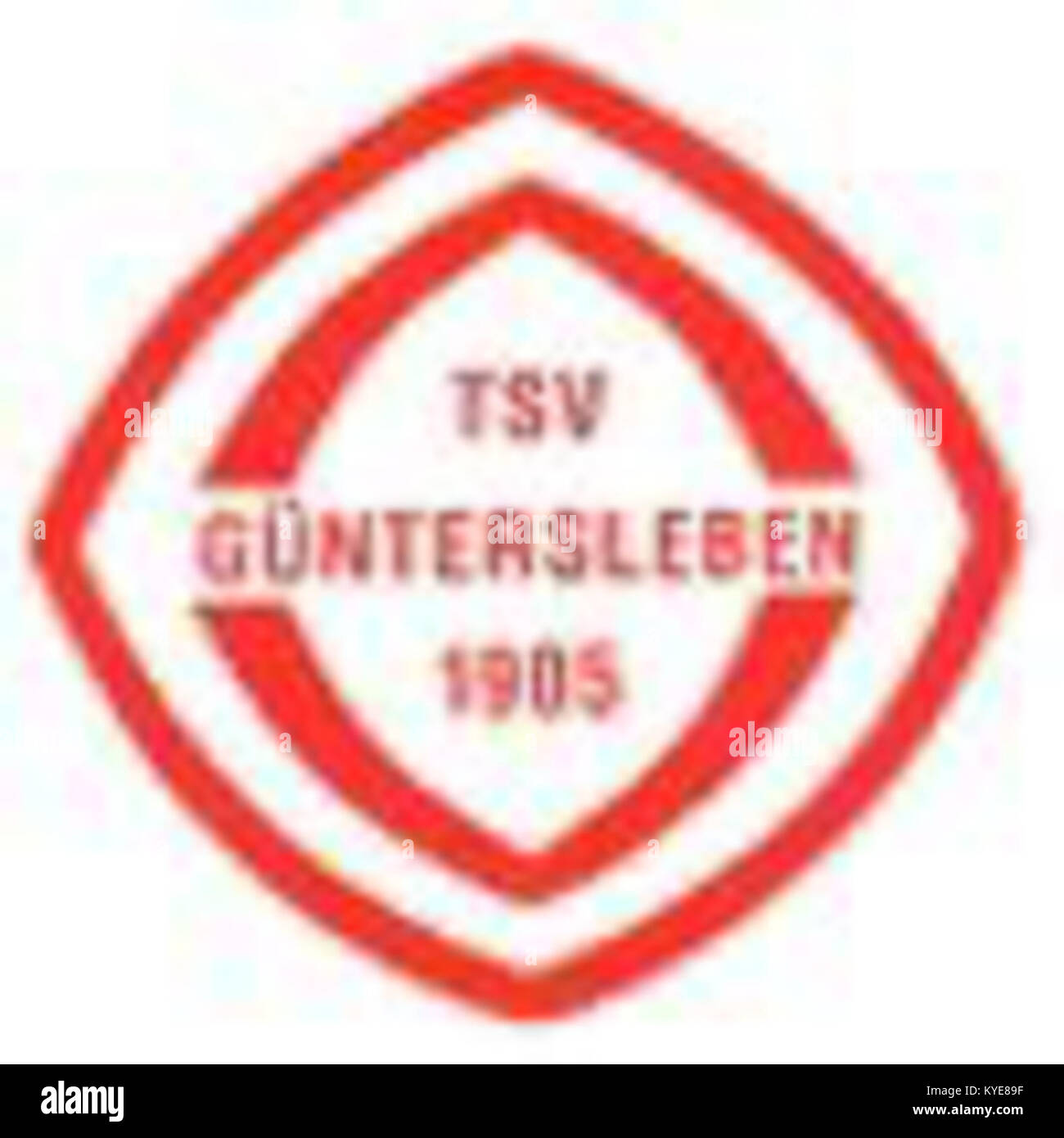 Questa immagine mostra lo stemma del TSV Güntersleben, un club sportivo locale. Il design presenta simboli ed elementi che rappresentano l'eredità, i valori e l'identità del club all'interno della comunità. Foto Stock