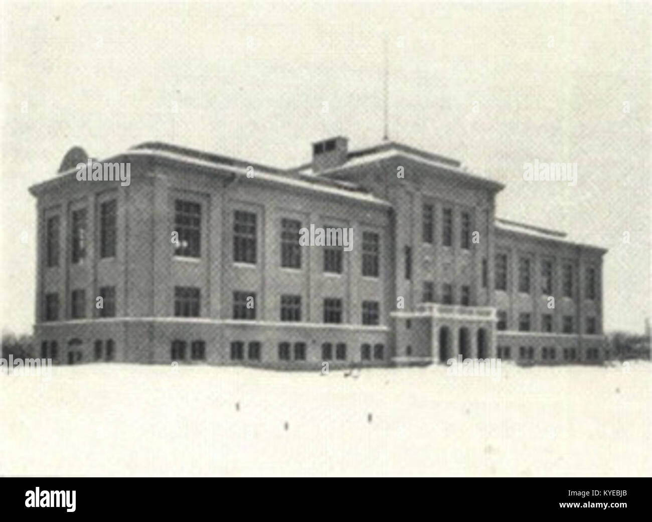 Questa immagine mostra la placca 2 di Uppsala della collezione del Museo di Zoologia NF 30, datata 1920, che espone esemplari zoologici a fini di studio scientifico e didattici. Foto Stock