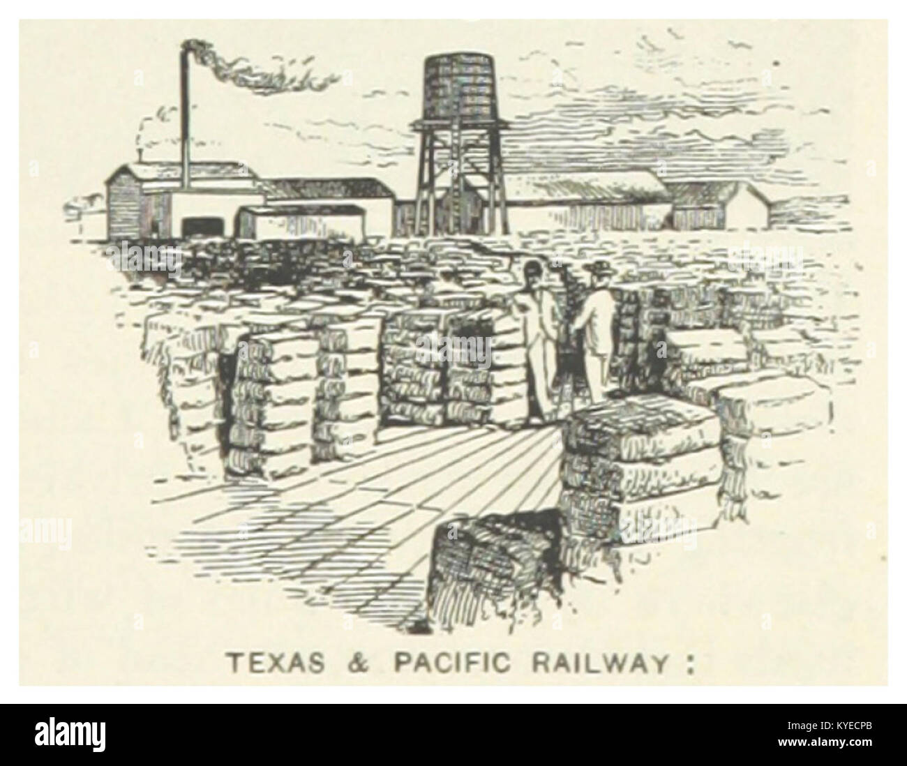 US-TX(1891) p829 Fort Worth., COTONE PLATTFORM AL TEXAS & Pacific terminal ferroviario Foto Stock