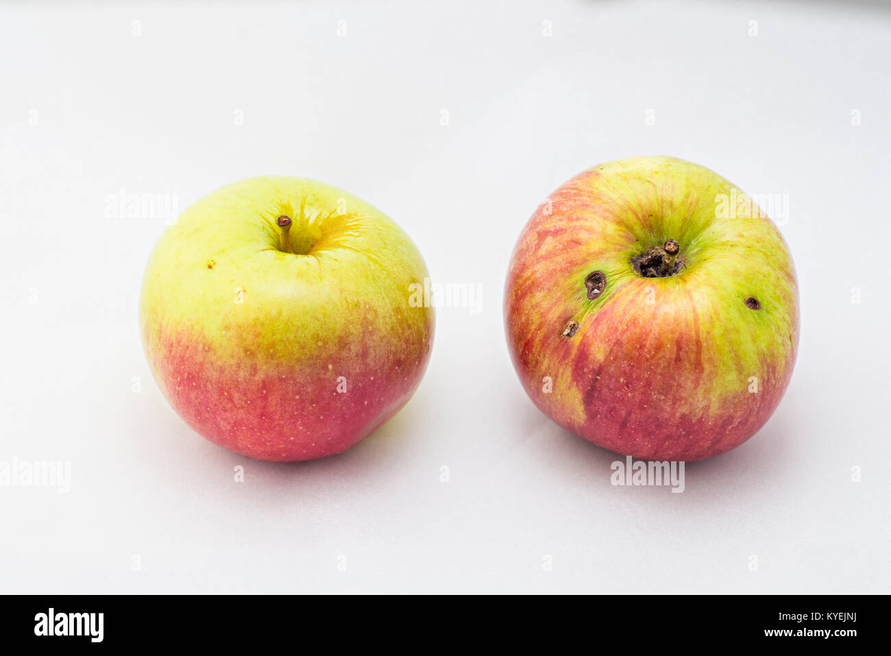 Organici naturali apple mangiato da un worm Foto Stock