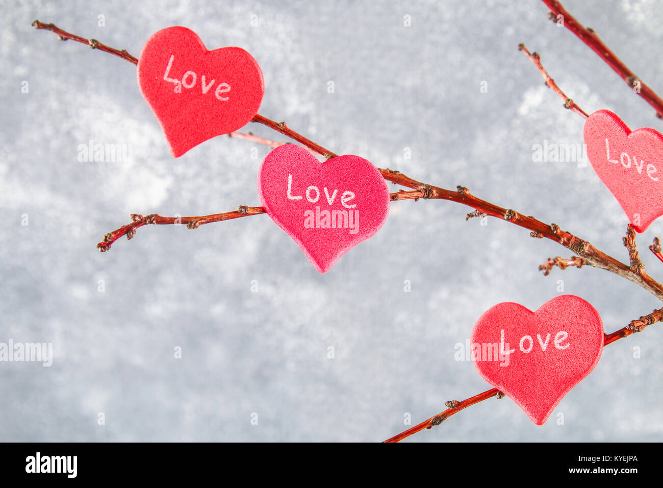 Cuori rossi con una iscrizione amore appendere sui rami su un cemento  grigio Sfondo. Albero dell'amore. Il concetto di San Valentino. Un simbolo  di amore Foto stock - Alamy