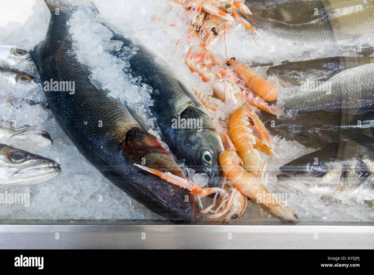 Congelati a base di pesce e frutti di mare sul ghiaccio nel mercato del pesce Foto Stock
