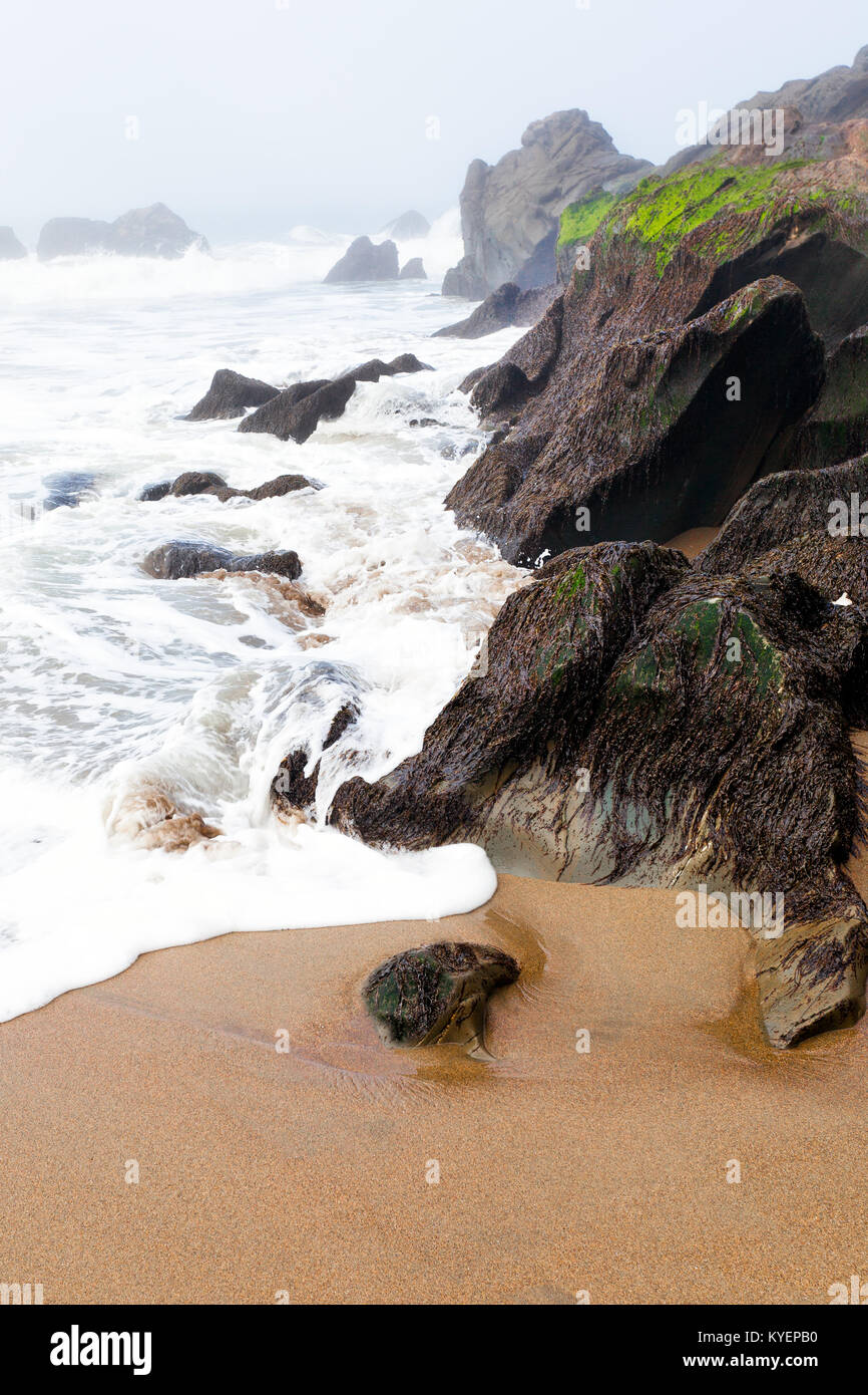 San Francisco beach in una nebbiosa giornata. Onde, sabbia e massi. Posizione: Baker Beach. Il Golden Gate Bridge, solitamente visibili, è persa nella nebbia. In verticale Foto Stock