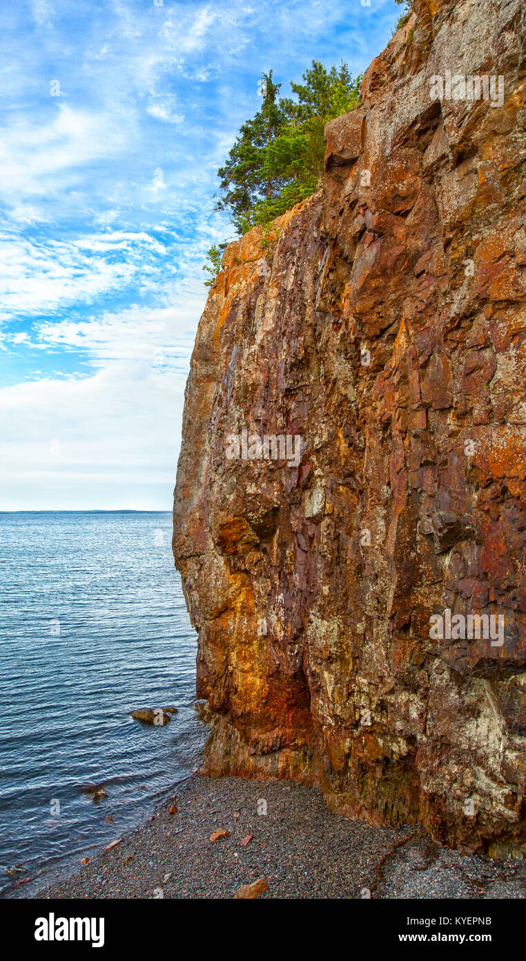 Maine scogliera costiera molto ripida drammatica con albero sulla parte superiore, sotto l'acqua. Visto dal lato. Posizione: Bar Harbor vicino al Parco Nazionale di Acadia. Foto Stock