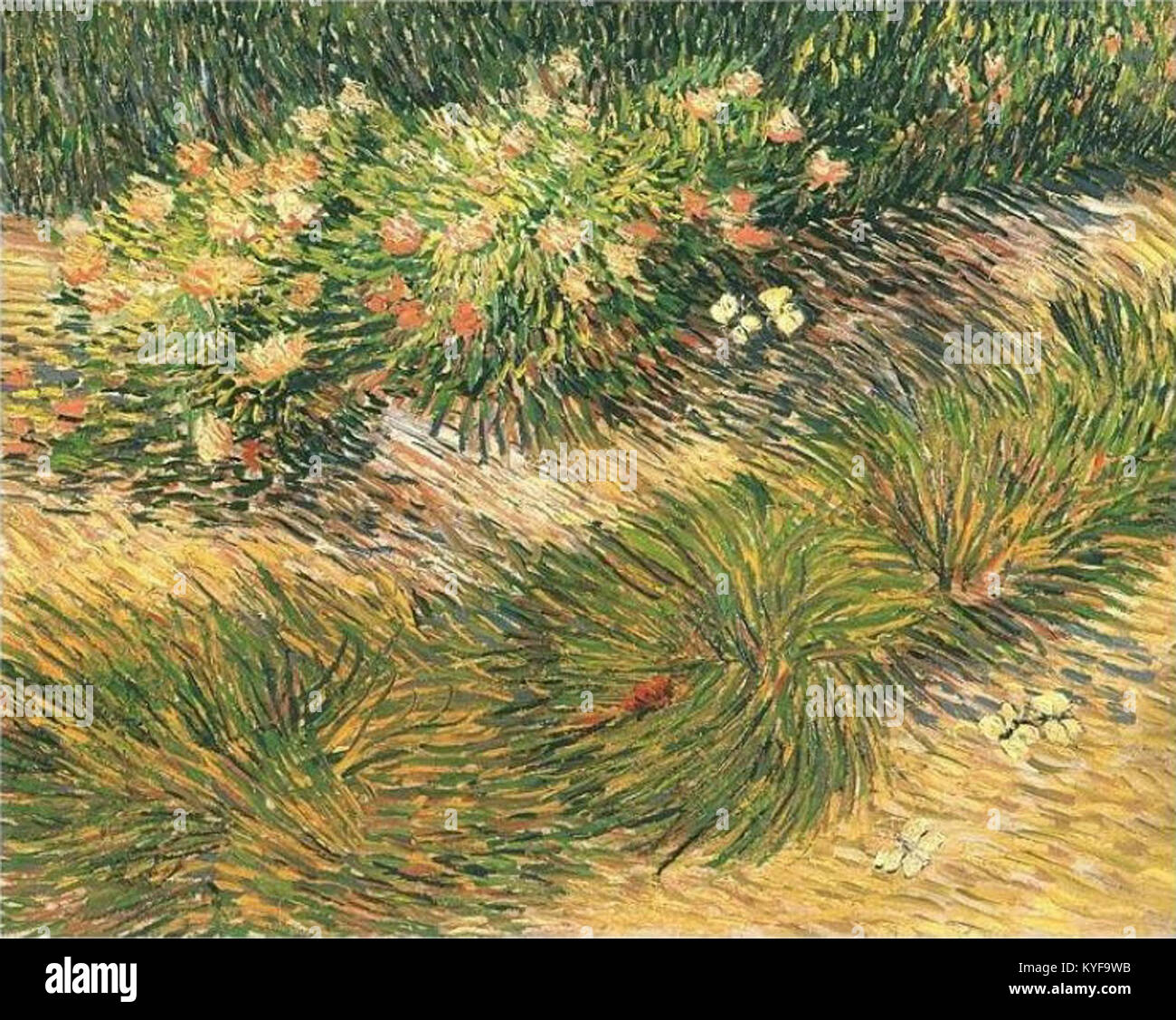 Il dipinto di Vincent van Gogh di un campo erboso con farfalle illustra il suo stile impressionistico, enfatizzando il colore, la consistenza e la vivacità della natura. Foto Stock